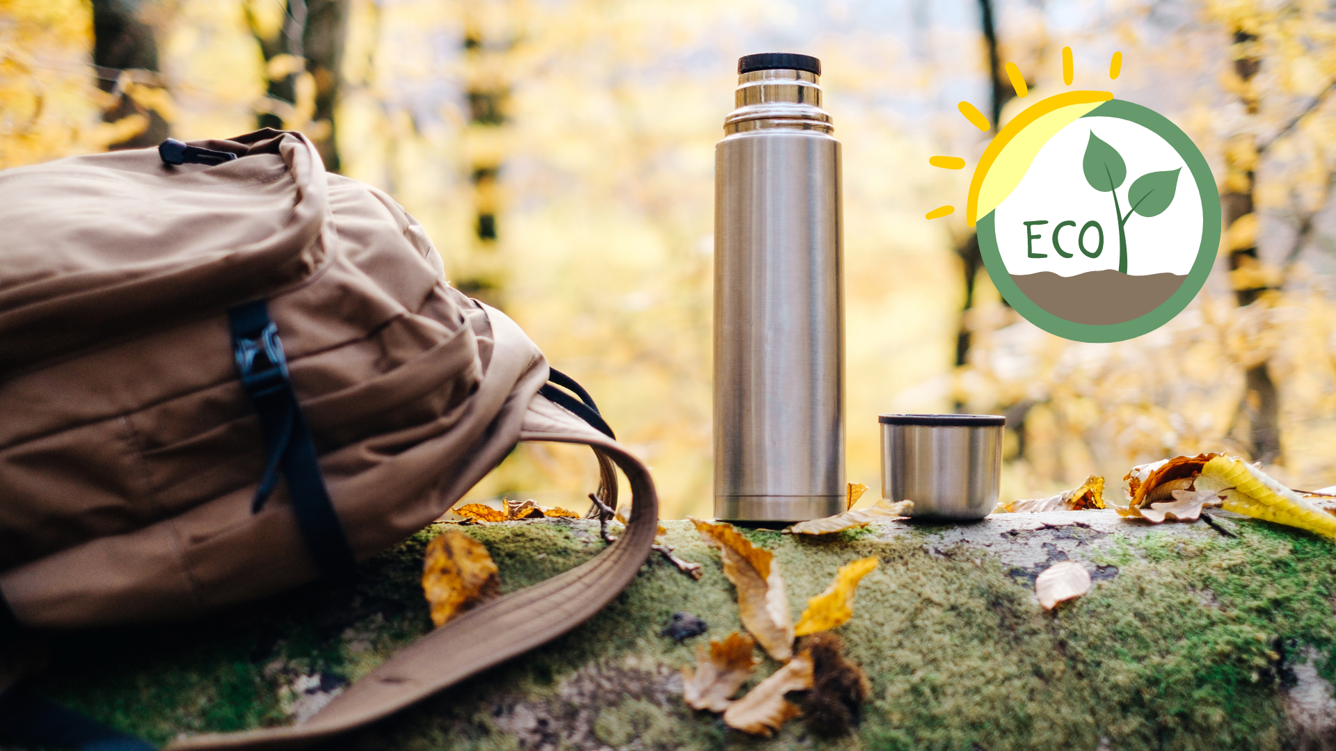 thermos ecologique